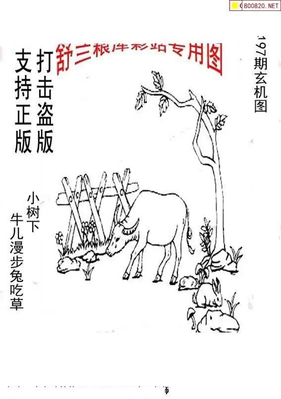 25197期: 老村长福彩3D天天图谜