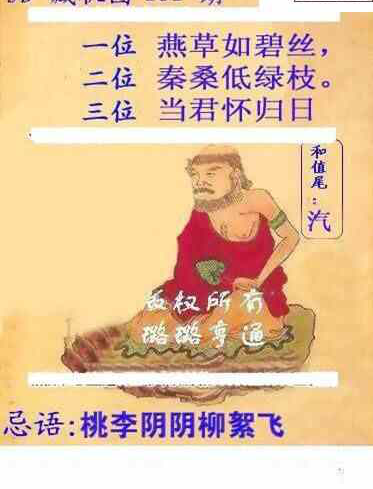 24151期: 白老3D杀码图版