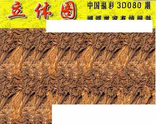 24080期: 3D蝴蝶世家蝴蝶彩图