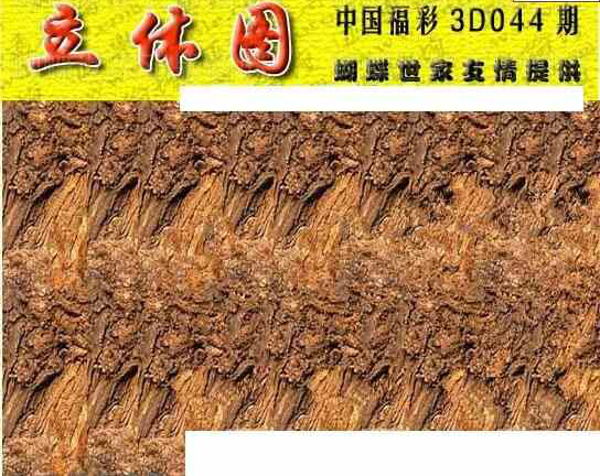 25044期: 3D蝴蝶世家蝴蝶彩图