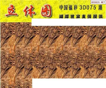 26075期: 3D蝴蝶世家蝴蝶彩图