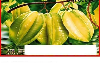 26016期: 白老3D杀码图版