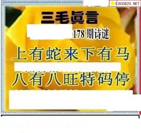 25178期: 三毛3D精品图谜