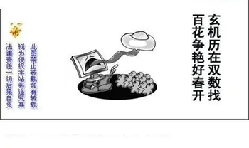 25323期: 白老3D杀码图版