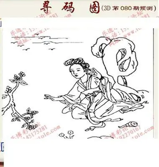 九宝图26080期福彩3D寻码图