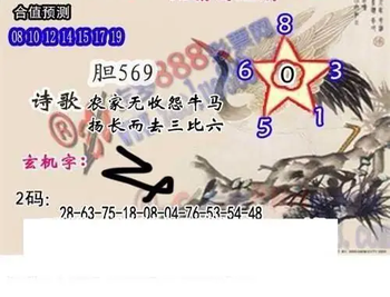 26008期: 白老3D杀码图版