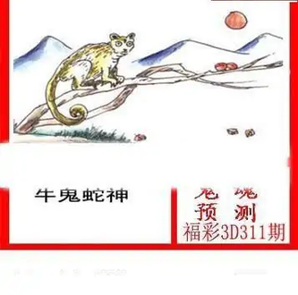 25311期: 白老3D杀码图版