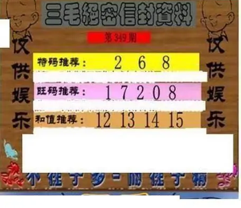 25349期: 三毛3D精品图谜