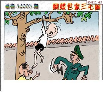 26003期: 3D蝴蝶世家蝴蝶彩图