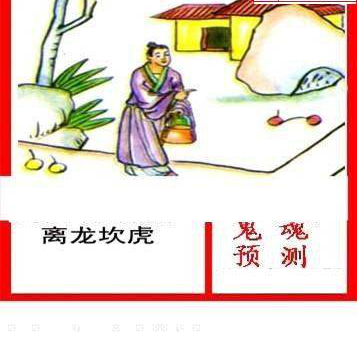 24336期: 白老3D杀码图版