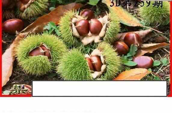 24259��: ����3Dɱ��ͼ��