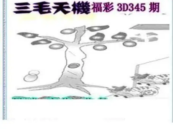 25345期: 三毛3D精品图谜