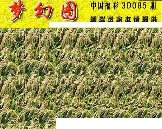 25085期: 3D蝴蝶世家蝴蝶彩图