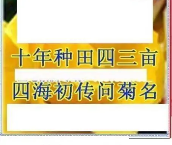 25340期: 三毛3D精品图谜