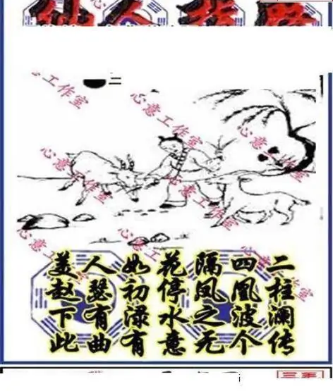 25242期: 三毛3D精品图谜