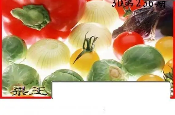 25236期: 白老3D杀码图版