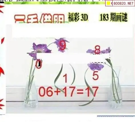 25183期: 三毛3D精品图谜