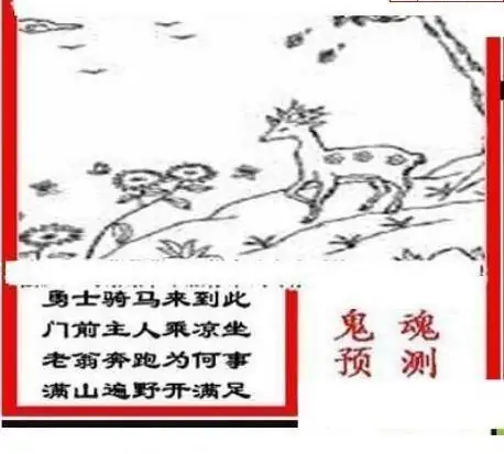 25078期: 三毛3D精品图谜