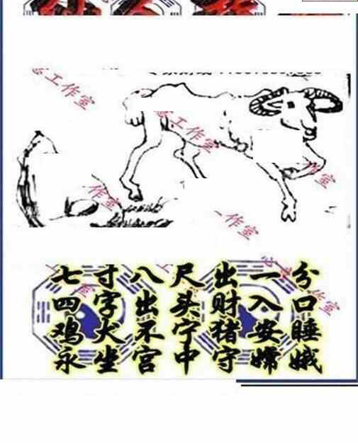 24107期: 三毛3D精品图谜