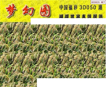 26050期: 3D蝴蝶世家蝴蝶彩图