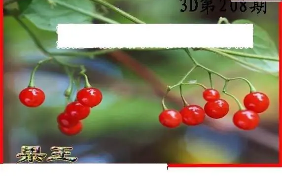 25208期: 白老3D杀码图版