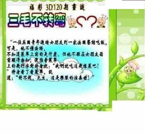 24120期: 三毛3D精品图谜
