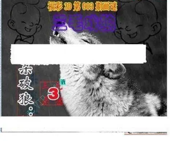 26003期: 三毛3D精品图谜