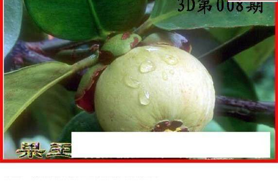 25008��: ����3Dɱ��ͼ��