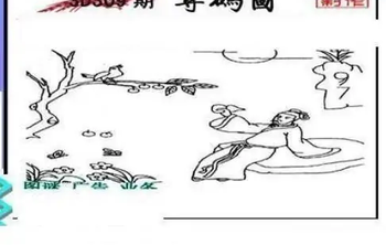 25309期: 三毛3D精品图谜