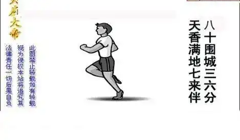 25100期: 白老3D杀码图版