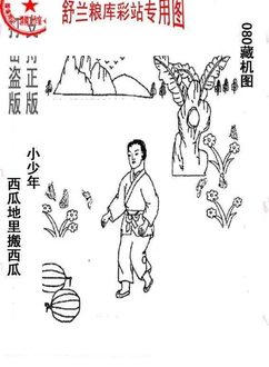 26080期: 老村长福彩3D天天图谜