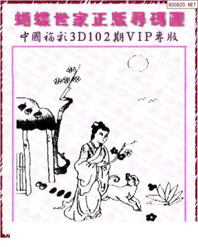 26102期: 3D蝴蝶世家蝴蝶彩图