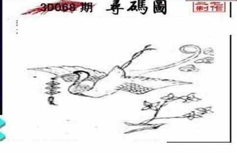 24068期: 三毛3D精品图谜