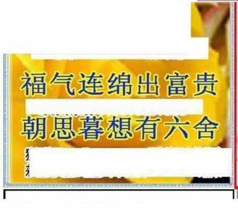 24093期: 三毛3D精品图谜