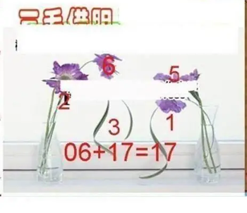 26098期: 三毛3D精品图谜