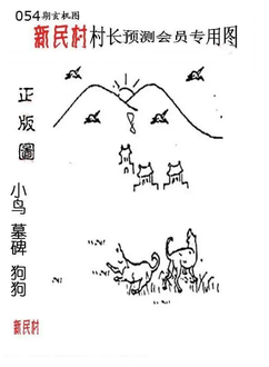 26054期: 老村长福彩3D天天图谜