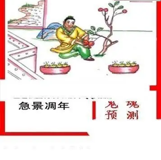 26073期: 白老3D杀码图版