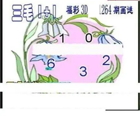 25264期: 三毛3D精品图谜