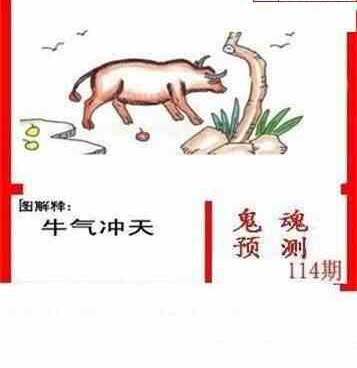 24114期: 白老3D杀码图版