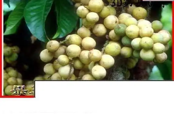 25260期: 白老3D杀码图版