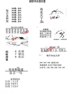 26066期: 福彩3D全套图版参考