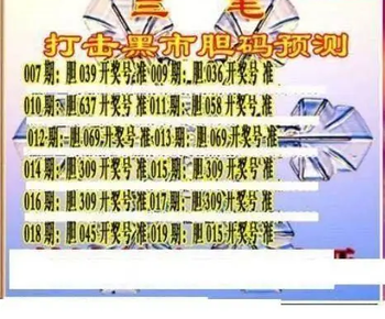 26019期: 三毛3D精品图谜