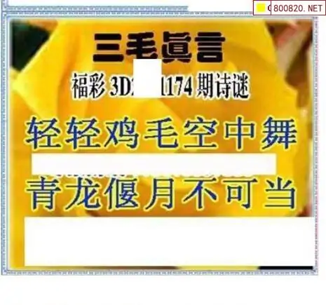 25174期: 三毛3D精品图谜