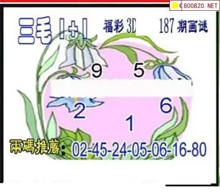 25187期: 三毛3D精品图谜