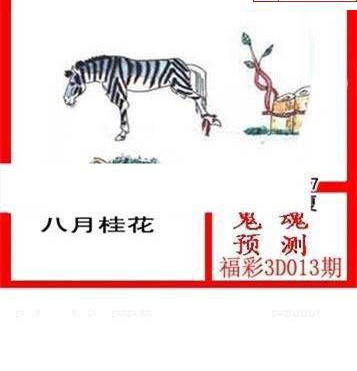 25013期: 白老3D杀码图版