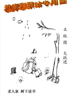 25326期: 老村长福彩3D天天图谜