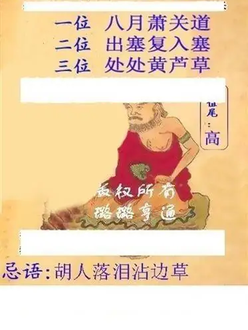 26100期: 白老3D杀码图版