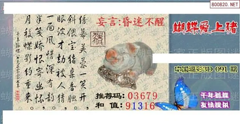 26091期: 3D蝴蝶世家蝴蝶彩图