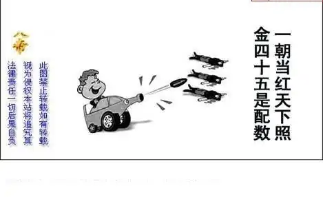 25301期: 白老3D杀码图版