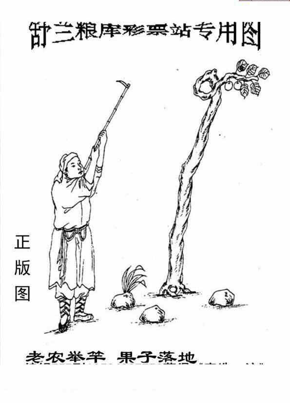 24185期: 老村长福彩3D天天图谜